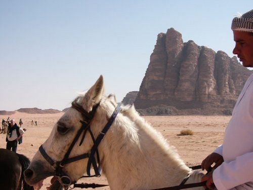 Captain'S Desert Camp Wadi Rum Exterior foto